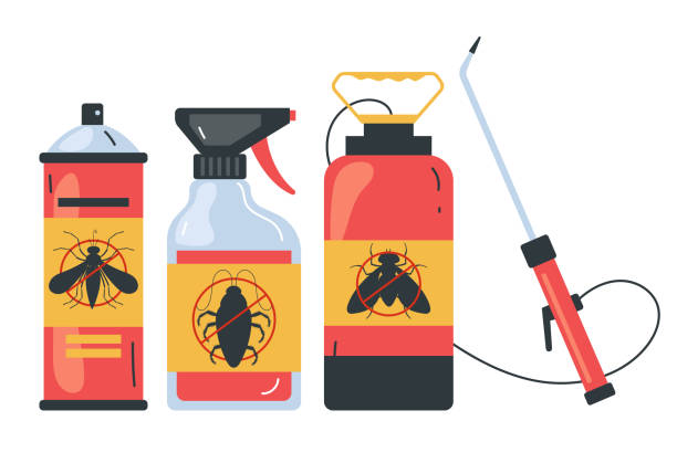 Best Insect Control  in Lavallette, NJ