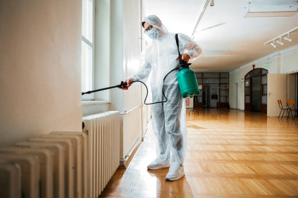 Best Flea Control Services  in Lavallette, NJ