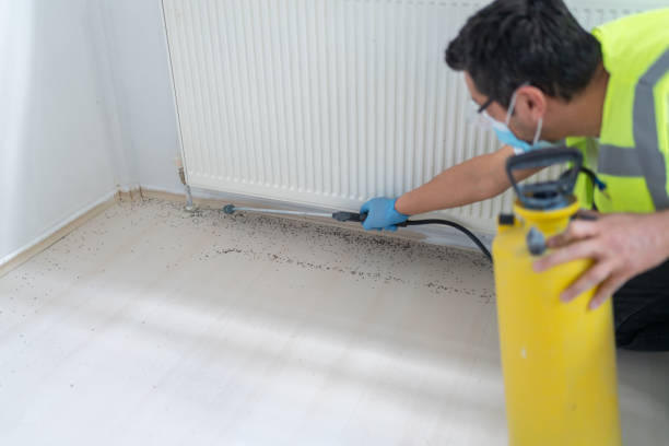 Best Pest Prevention Services  in Lavallette, NJ